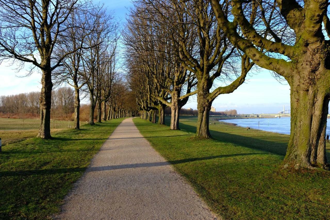 Messe Apartment Neuss Duesseldorf Eksteriør billede